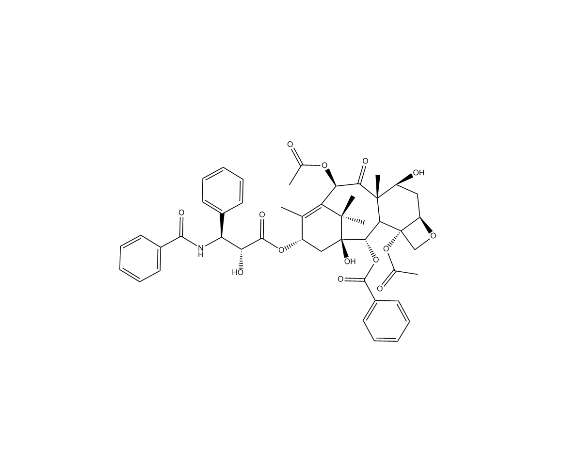 紫杉醇|33069-62-4